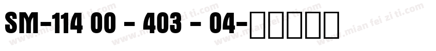 SM-114 00 - 403 - 04字体转换